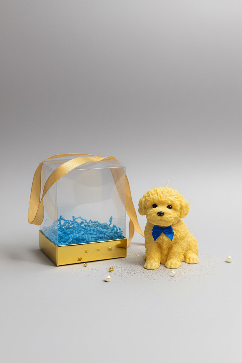 Vela artesanal en caja de regalo transparente, diseño emocional y elegante  de Luz y Esencia