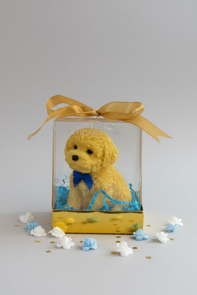 Vela artesanal en caja de regalo transparente, diseño emocional y elegante  de Luz y Esencia