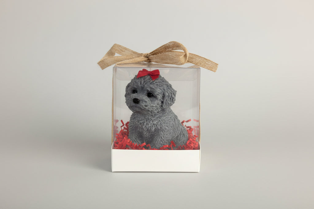 Vela artesanal en caja de regalo transparente, diseño emocional y elegante  de Luz y Esencia 