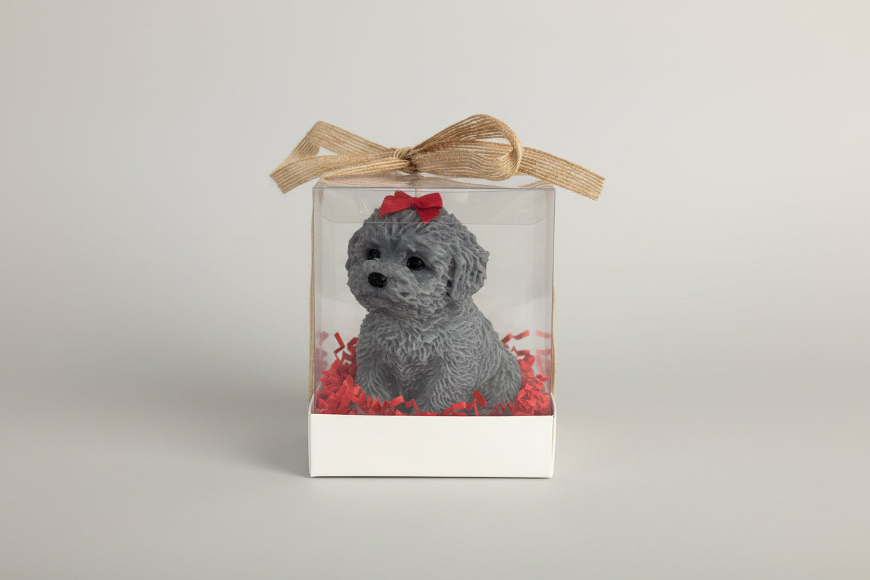 Vela artesanal en caja de regalo transparente, diseño emocional y elegante  de Luz y Esencia 